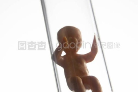 http://jinan.nbgk120.com/post/206.html|济南新闻中心