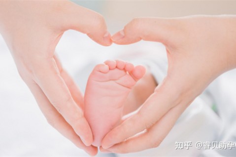 夏天济南捐卵宝宝发烧 莫要急