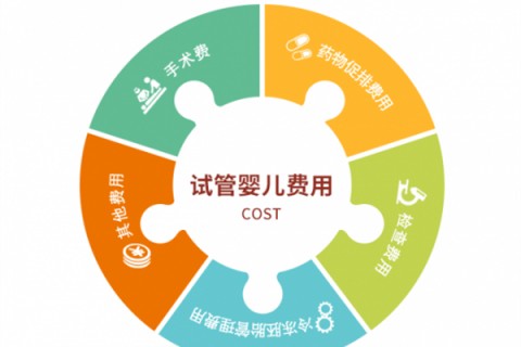 济南捐卵宝宝肚痛，父母该怎么办？